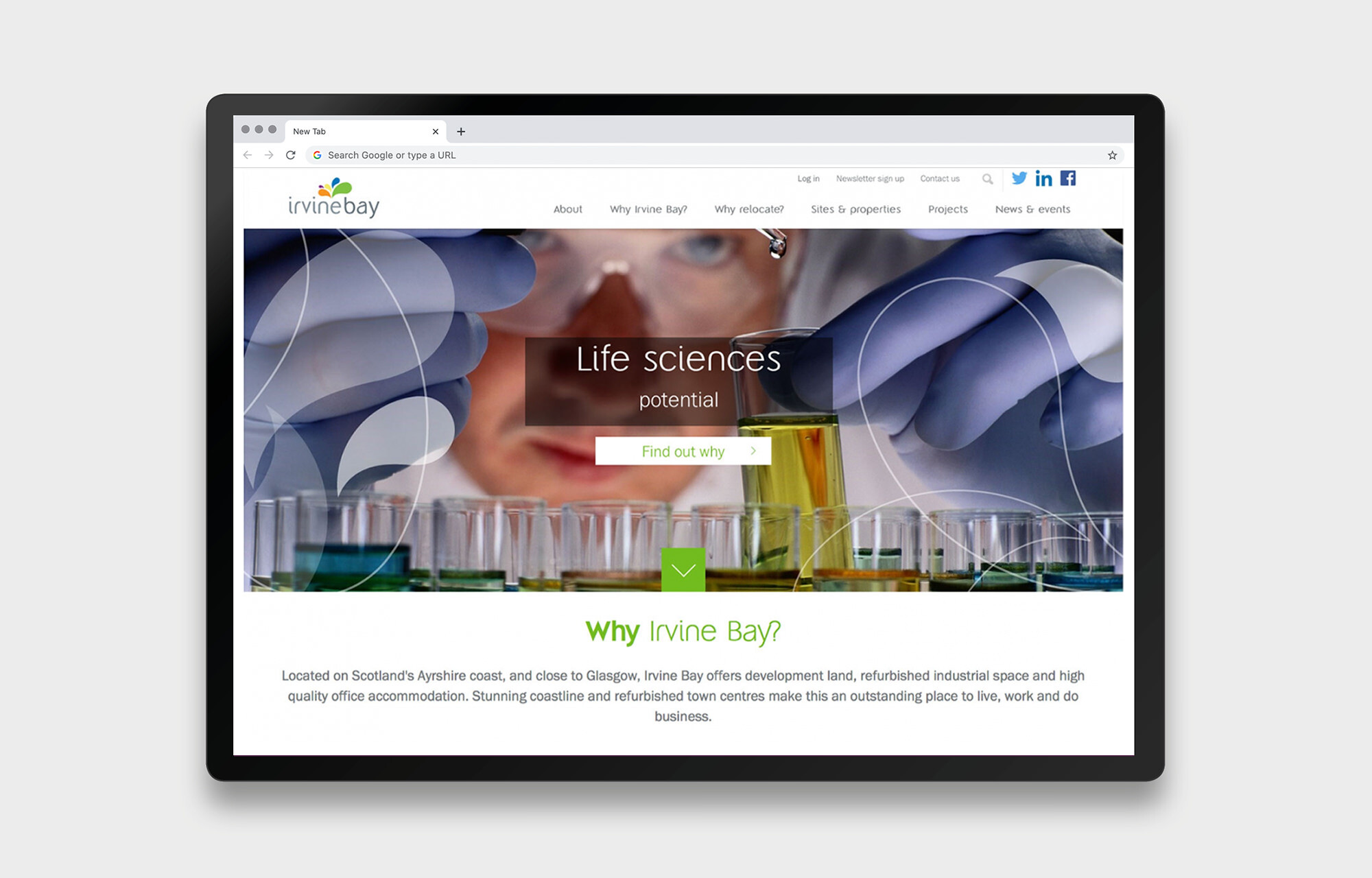 Irvine Bay website